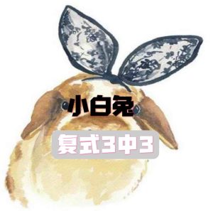 168期小白兔复式三中三-澳门国际